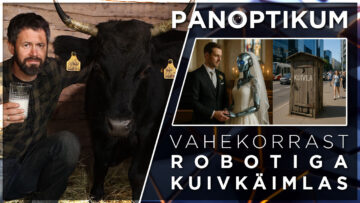 Populaarne video